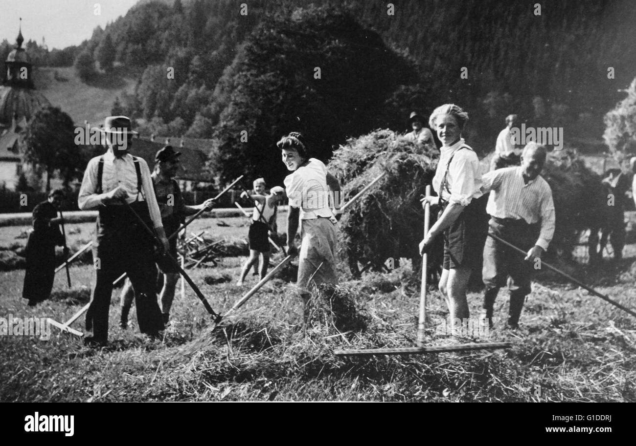 Photographic print of a Bavarian Maud Muller, raking a Meadow with Hay. Dated 20th Century Stock Photo