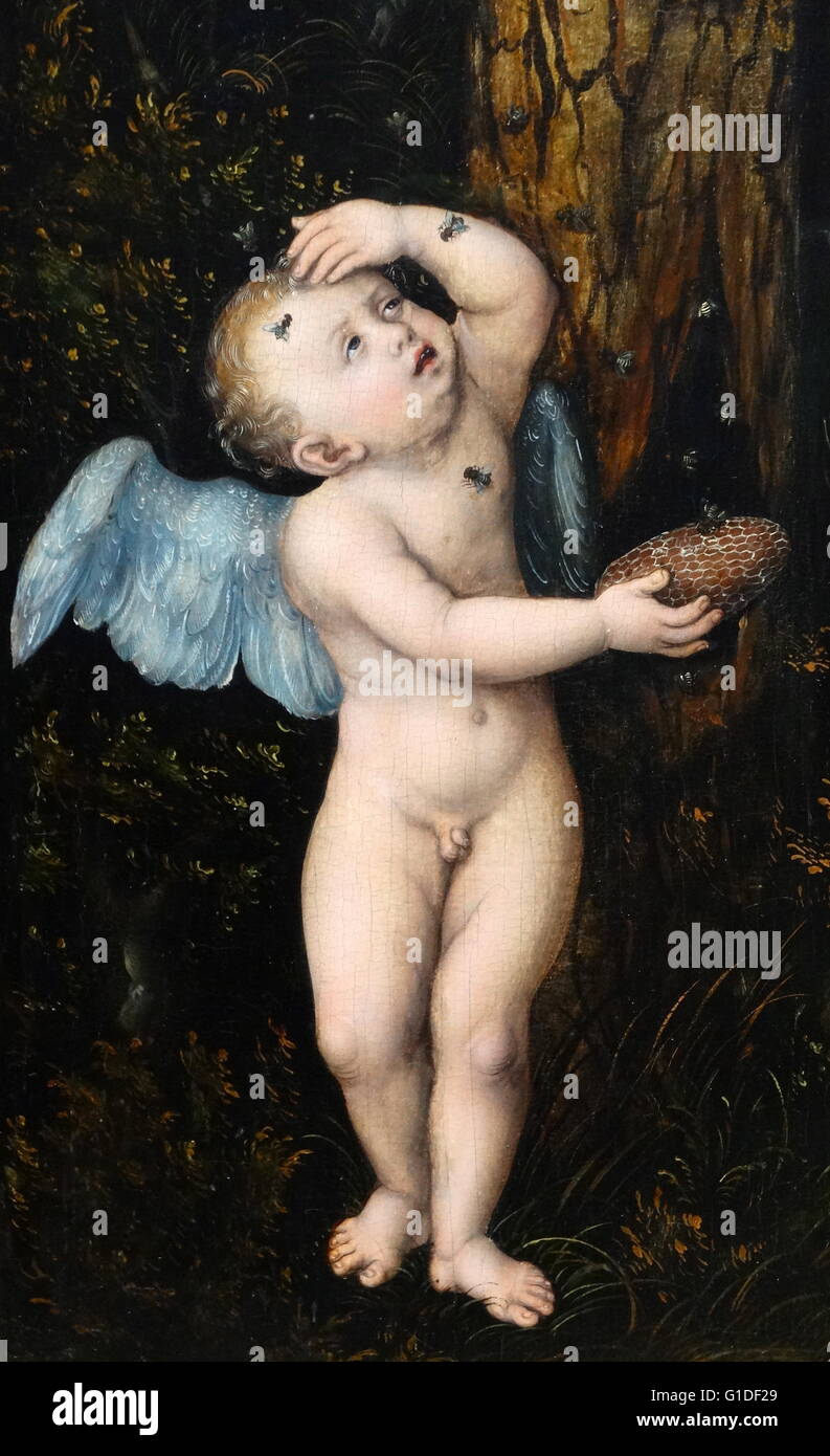 Detail from the painting titled 'Cupid complaining to Venus' by Lucas Cranach the Elder (1472-1553) a German Renaissance painter and printmaker in woodcut and engraving. Dated 16th Century Stock Photo