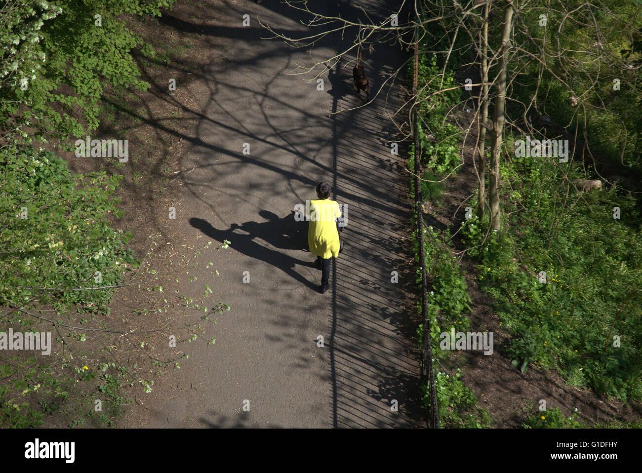 woman pushing pram while walking in Kelvingrove Park shot from above, on a sunny day, Kelvingrove Park, Stock Photo