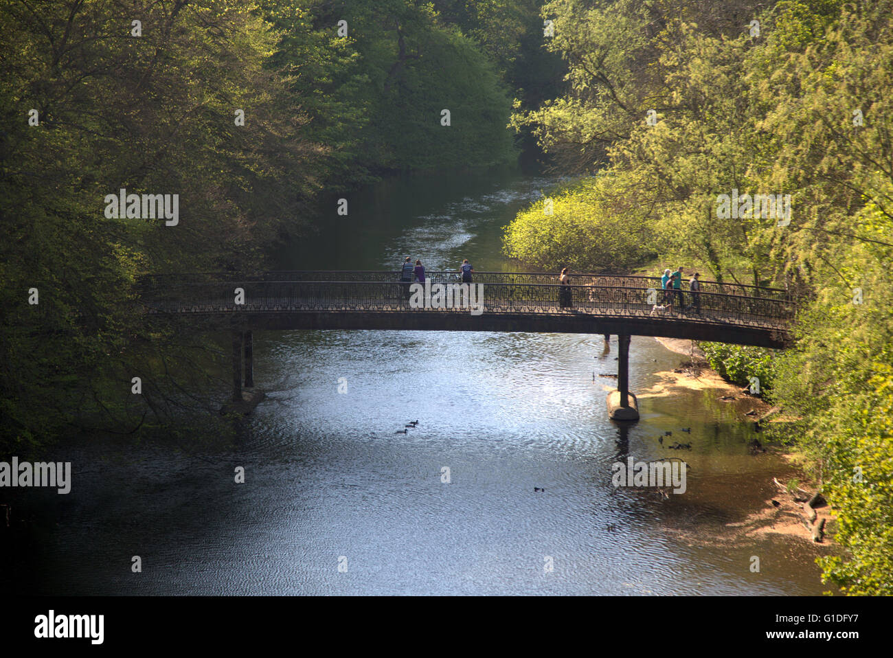 People on  foot bridge over the River Kelvin from Queen Margaret drive  Bridge  on a sunny summer day in Kelvingrove Park, Glasgow, Scotland,UK. Stock Photo