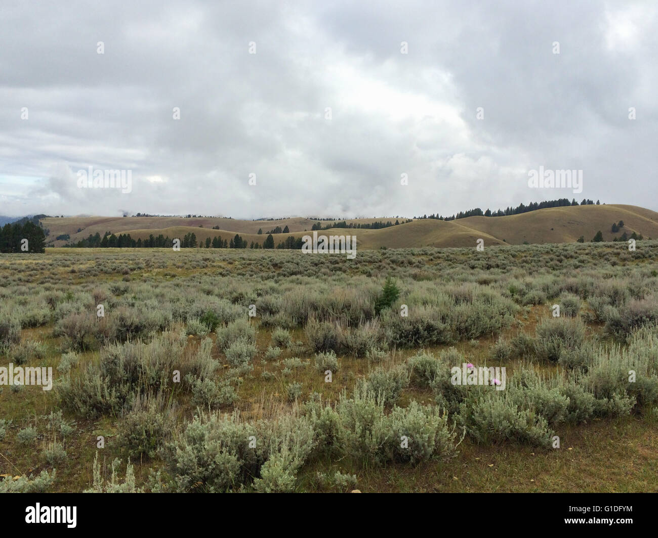 high plains view, landscape on a western Montana ranch Stock Photo