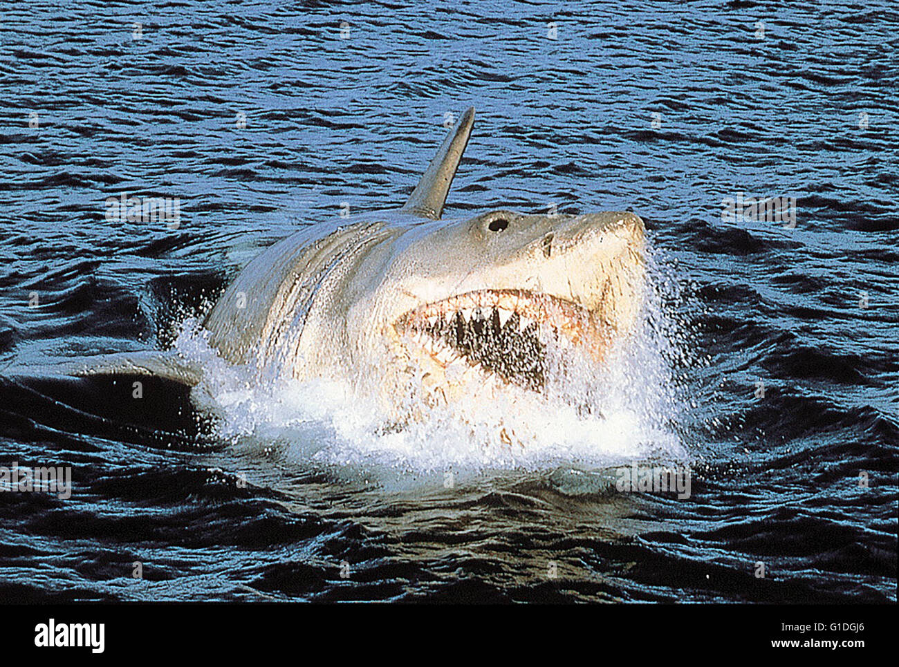 weiße Hai, Der / Hai,..Setzte Maßstäbe: Der weiße Hai' von .. Stock Photo