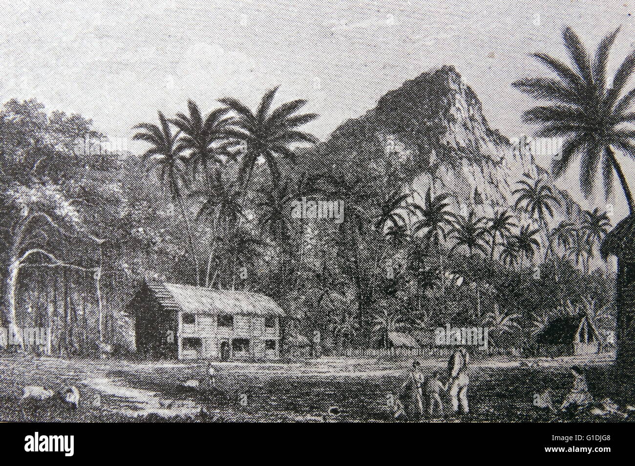 Home of John Adams on Pitcairn Island. Stock Photo