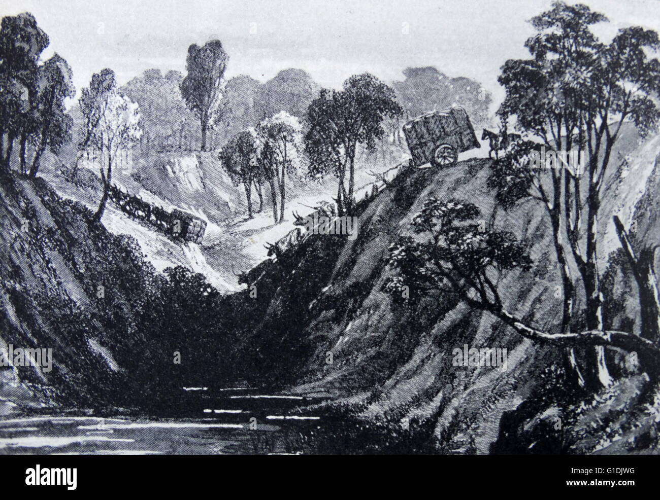 Illustration depicting early 19th century Australian pioneers travelling by Ox drawn carts through difficult terrain in Queensland Australia. Dated 1830. Stock Photo