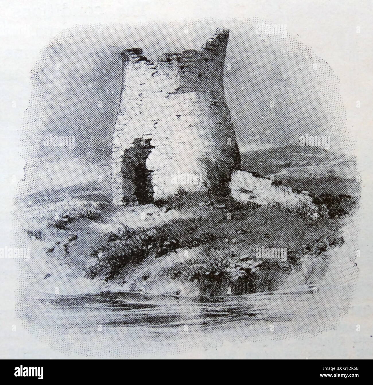 My Image 19