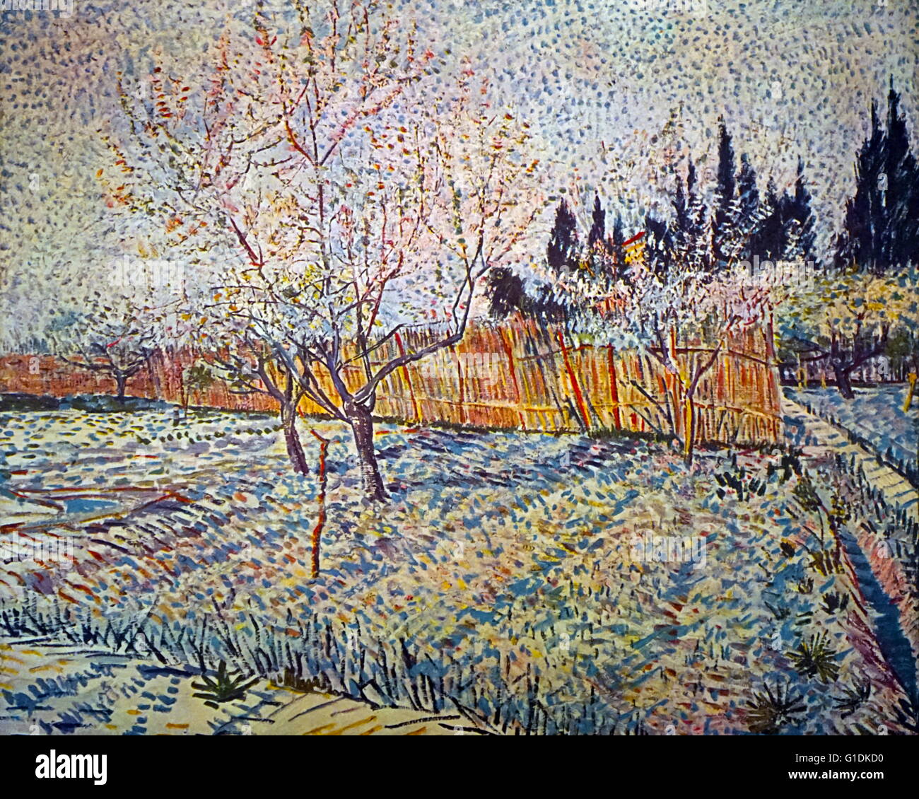 Vincent van Gogh (1853-1890) post-Impressionist painter. Orchard, springtime 1888, oil on canvas Stock Photo