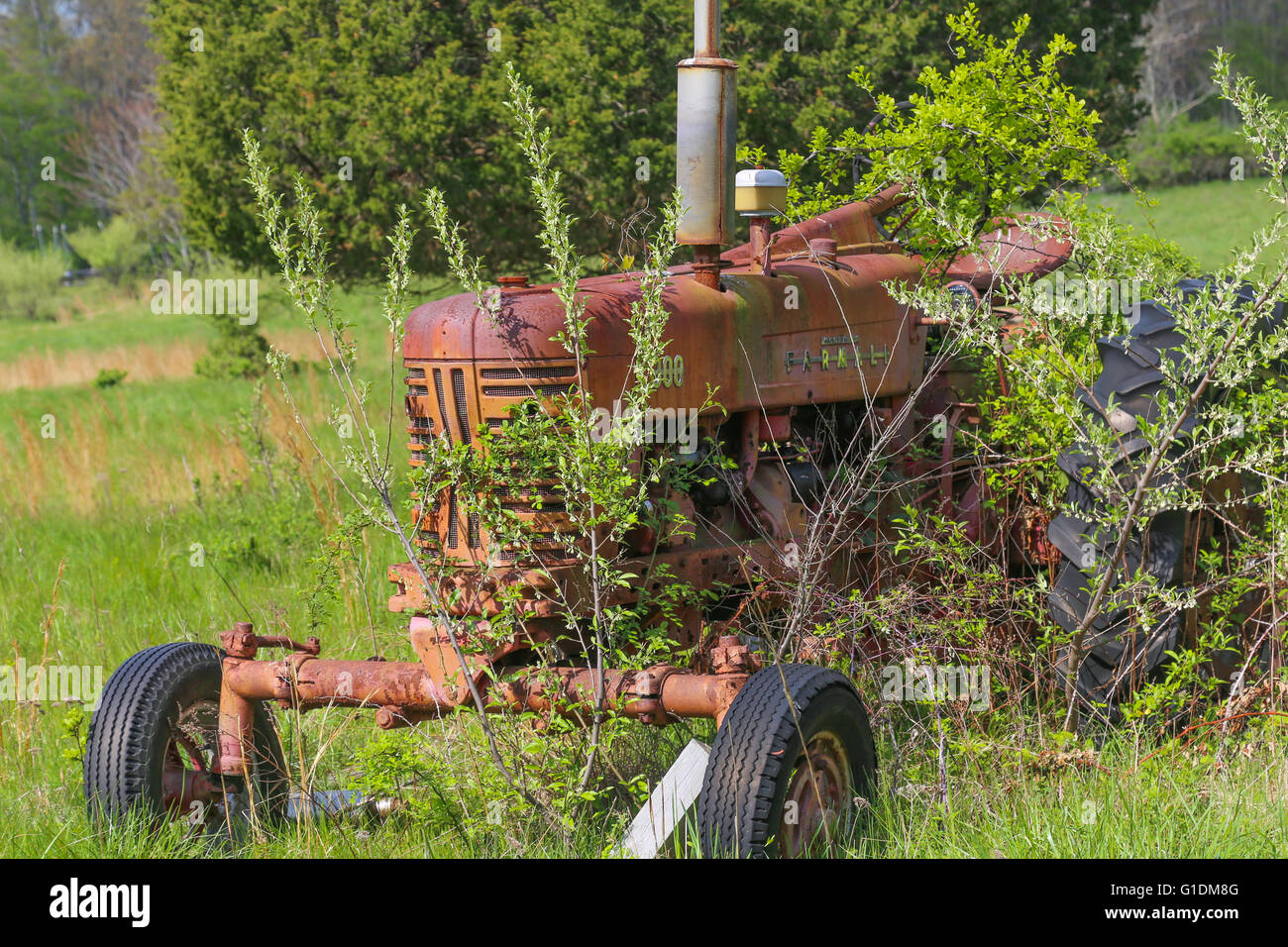 old red farm tractor sitting in an overgrown field Stock Photo