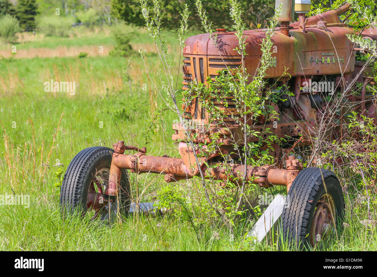old red farm tractor sitting in an overgrown field Stock Photo