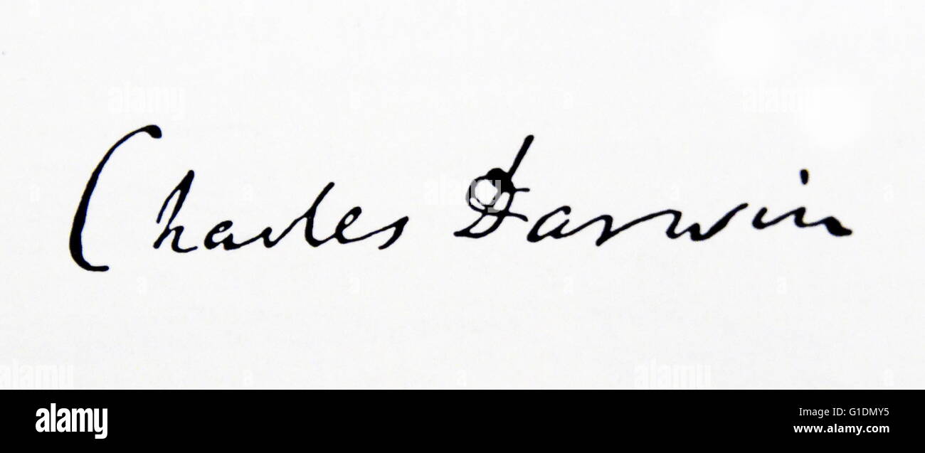 Signature of Charles Darwin (1809-1882) an English naturalist and geologist. Dated 19th Century Stock Photo