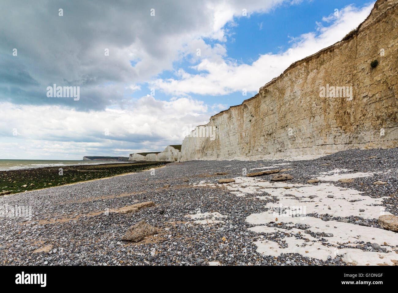 The Seven Sisters Cliffs, South Down National Park, East Sussex, UK