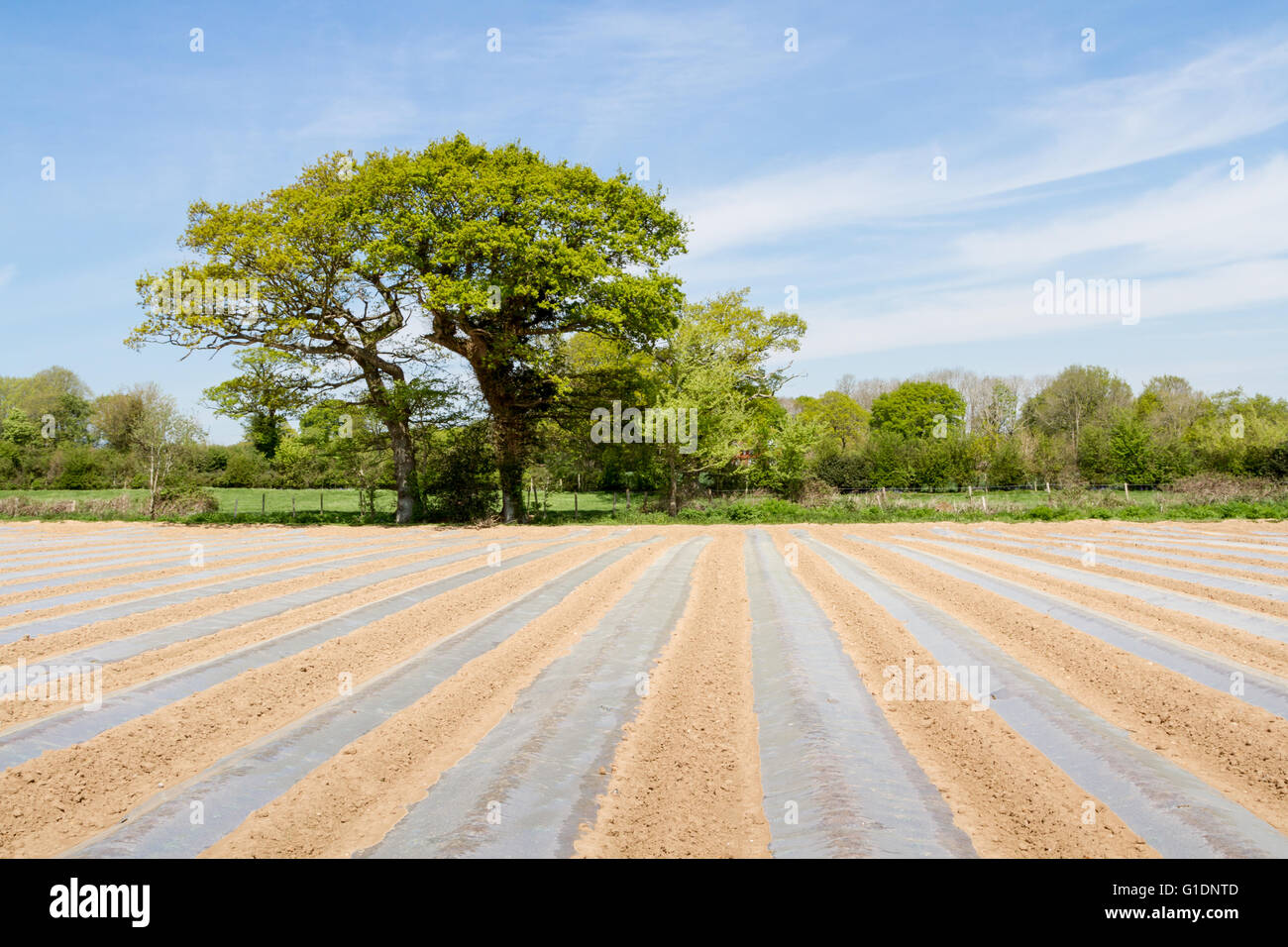 Sussex farm land Stock Photo - Alamy