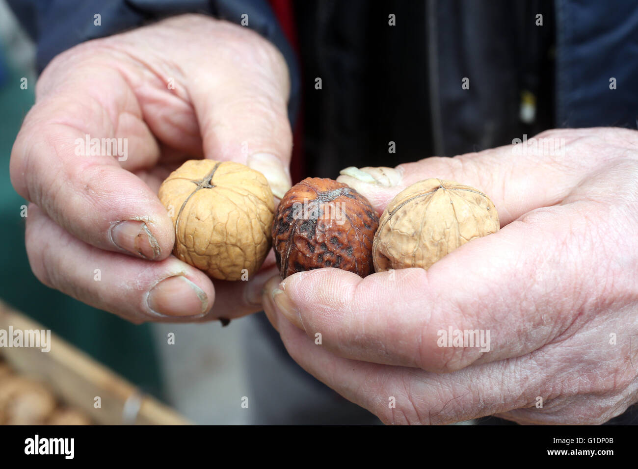 Walnuts on market.  Saint-Gervais-les-Bains. France. Stock Photo