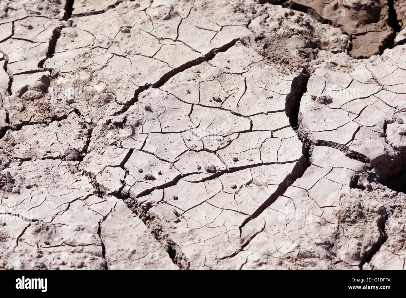 Cracked earth. Stock Photo