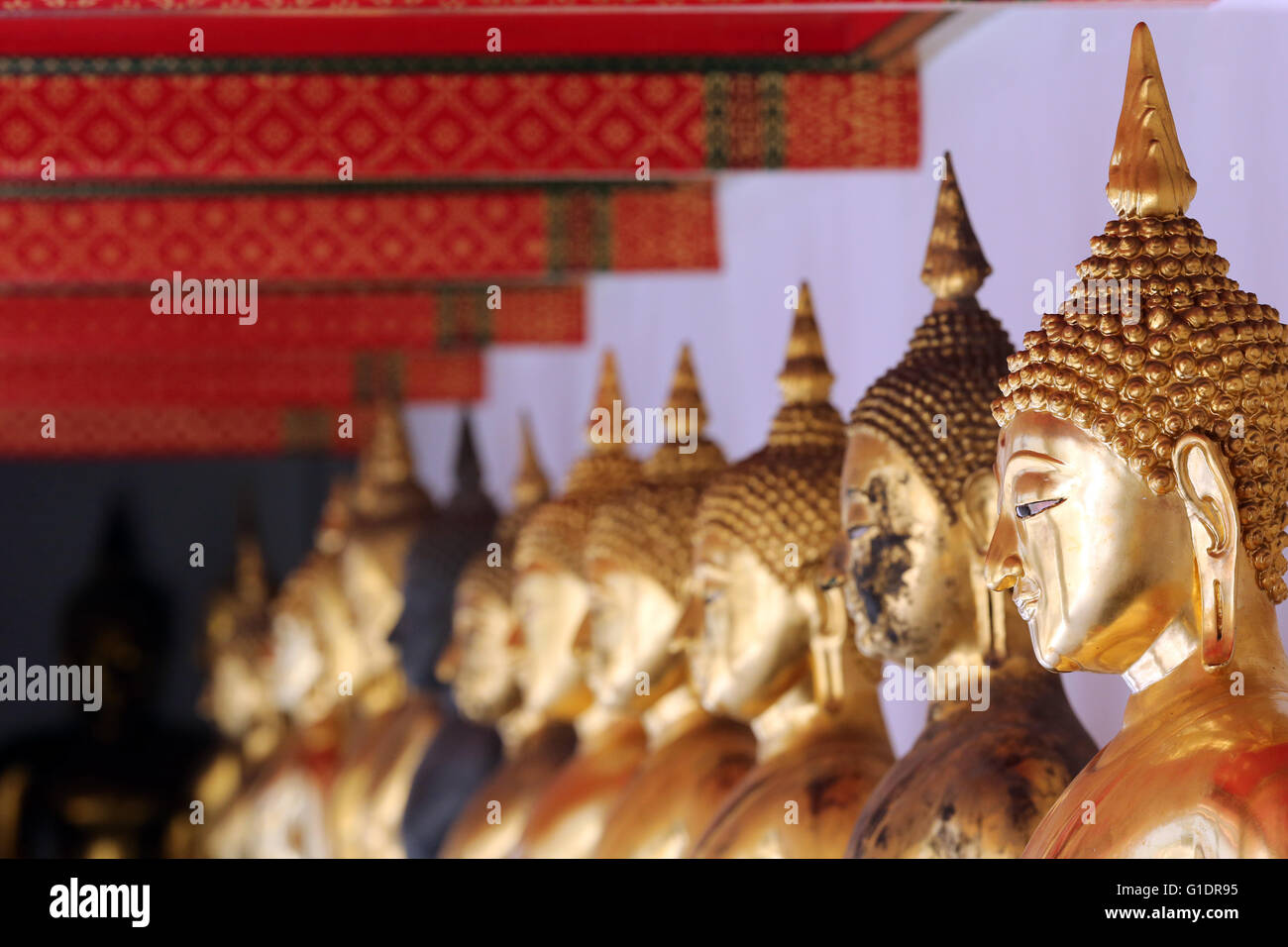 Seated Golden Buddha statues in a row at Wat Pho (Temple Of The