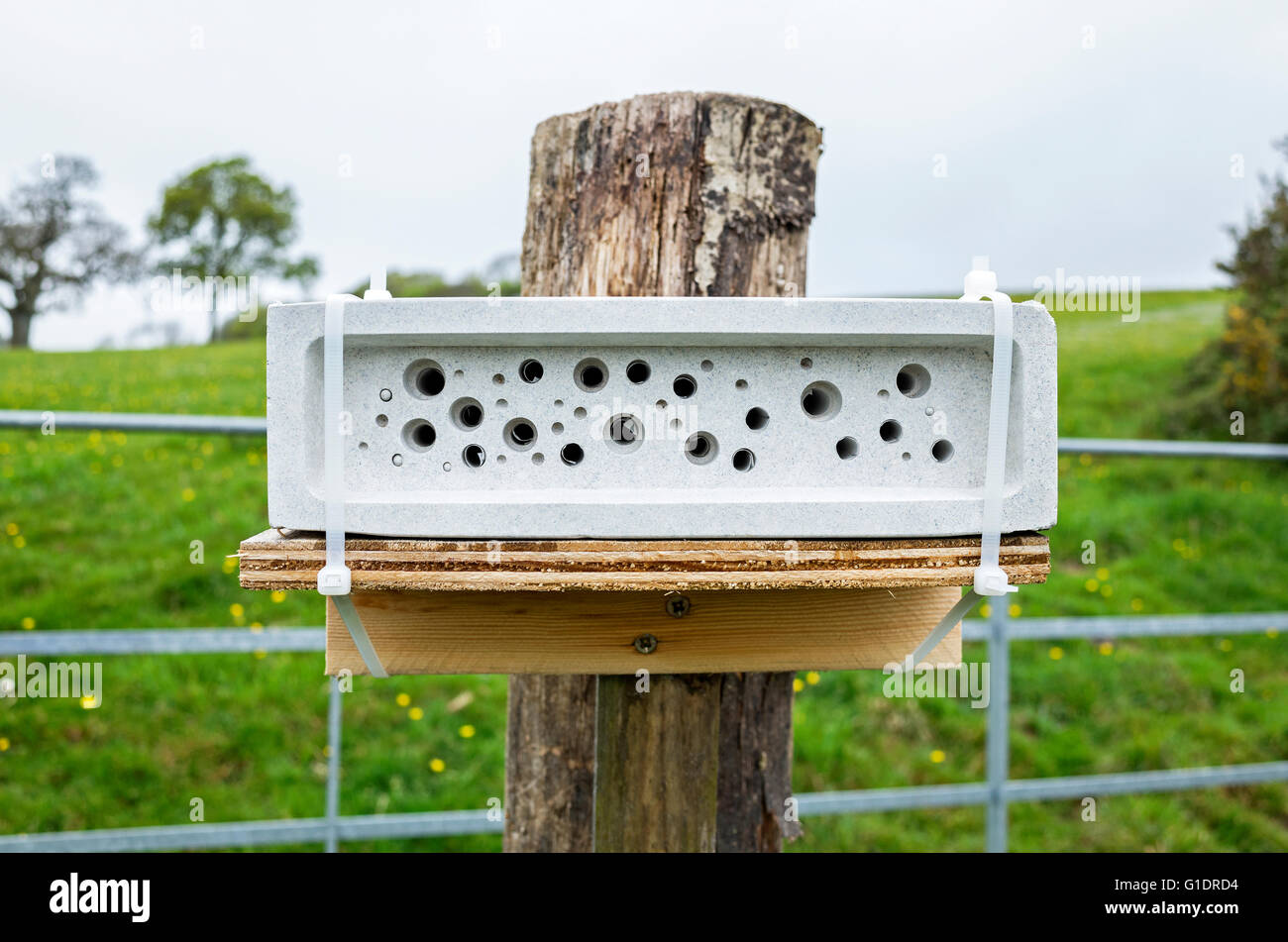 A ' Bee Brick ' nesting site for solitary bees. Stock Photo