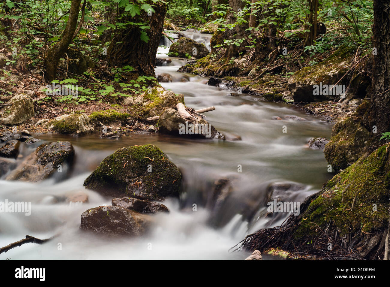 Water flowing in mountain stream - long exposure Stock Photo