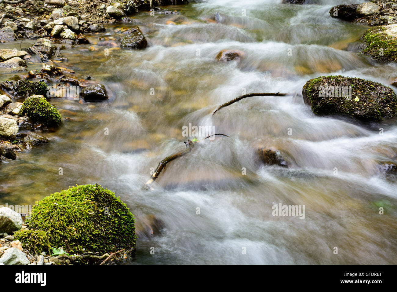 Water flowing over rocks in mountain stream in Zadiel Valley Slovakia Stock Photo