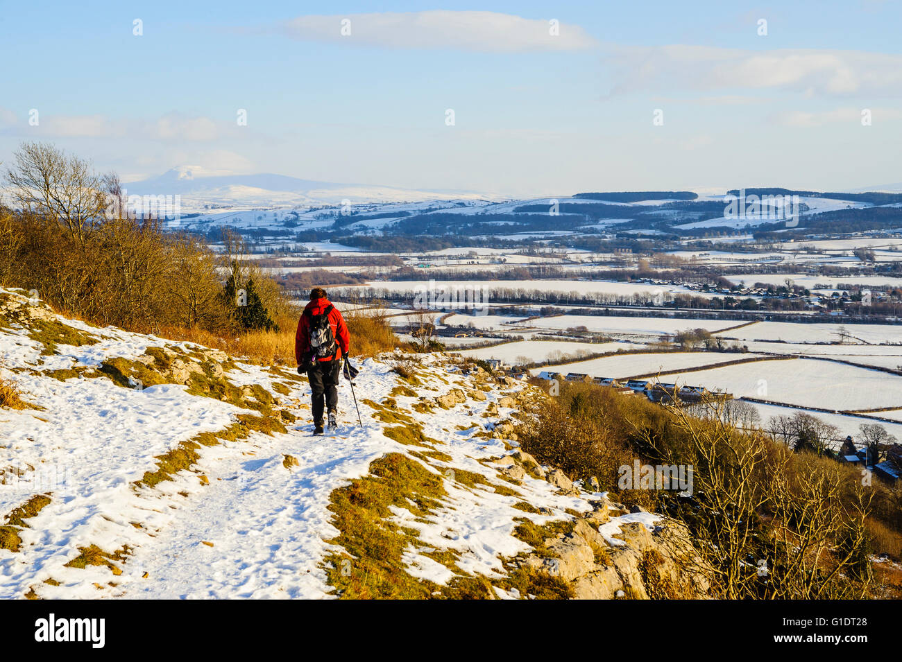 Walker in snow on Warton Crag in the Arnside–Silverdale Area of Outstanding Natural Beauty Lancashire Stock Photo
