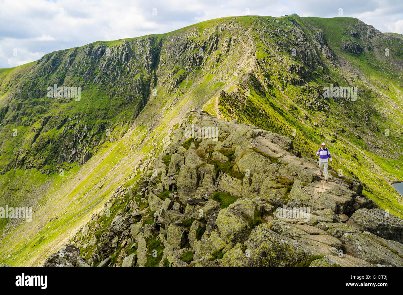 Looking along Striding Edge towards Helvellyn in the Lake District Stock Photo