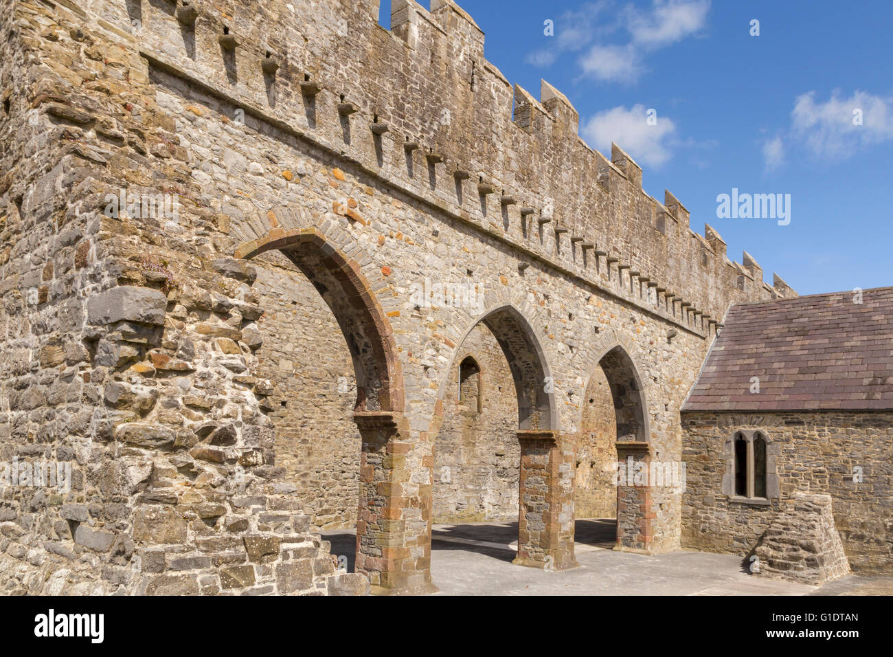 Roman arches at Ardfert Cathedral ( dedicated to St Brendan, the Navigator ), a ruined cathedral in Ardfert, Co. Kerry, Ireland. Stock Photo