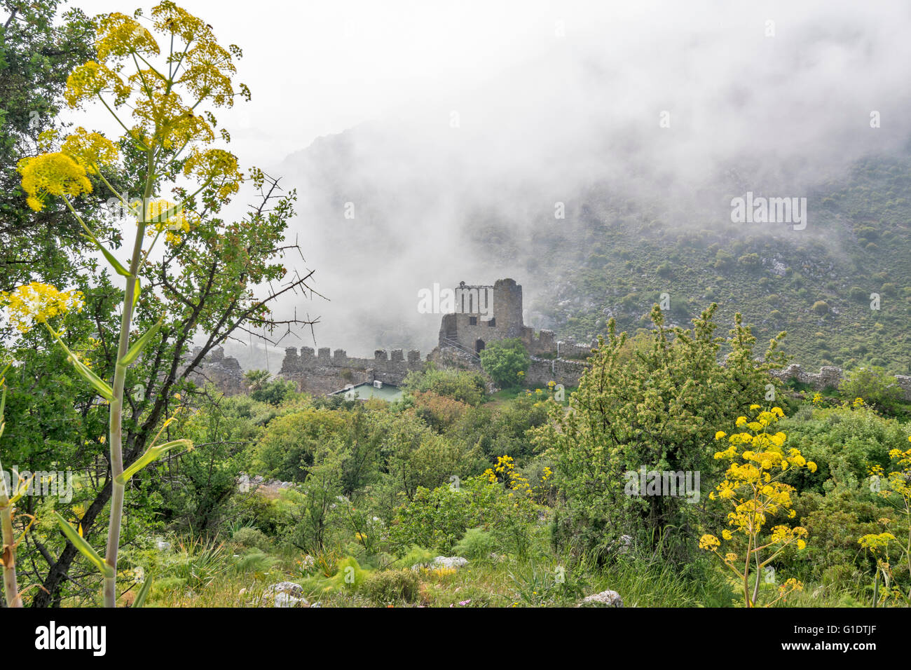 NORTH CYPRUS SAINT HILARION CASTLE THE YELLOW FLOWERS OF WILD FENNEL AND MIST MOVING OVER THE ENTRANCE TOWER Stock Photo