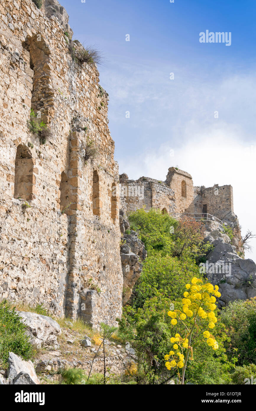 NORTH CYPRUS SAINT HILARION CASTLE THE YELLOW FLOWERS OF WILD FENNEL AND WALLS ON THE EDGE OF THE MOUNTAIN Stock Photo