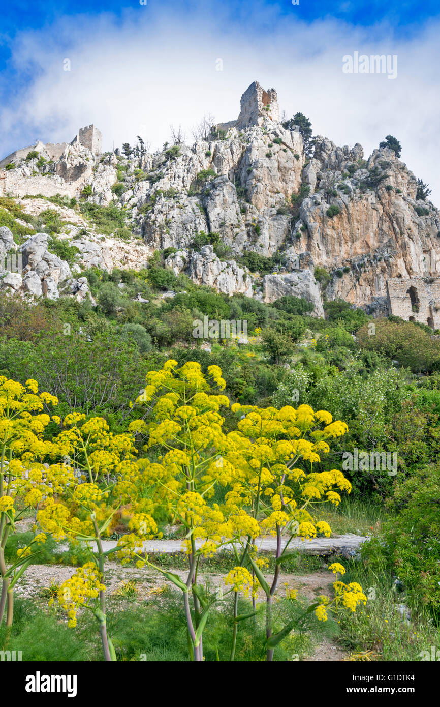 NORTH CYPRUS SAINT HILARION CASTLE THE YELLOW FLOWERS OF WILD FENNEL AT THE BASE OF THE MOUNTAIN IN SPRINGTIME Stock Photo