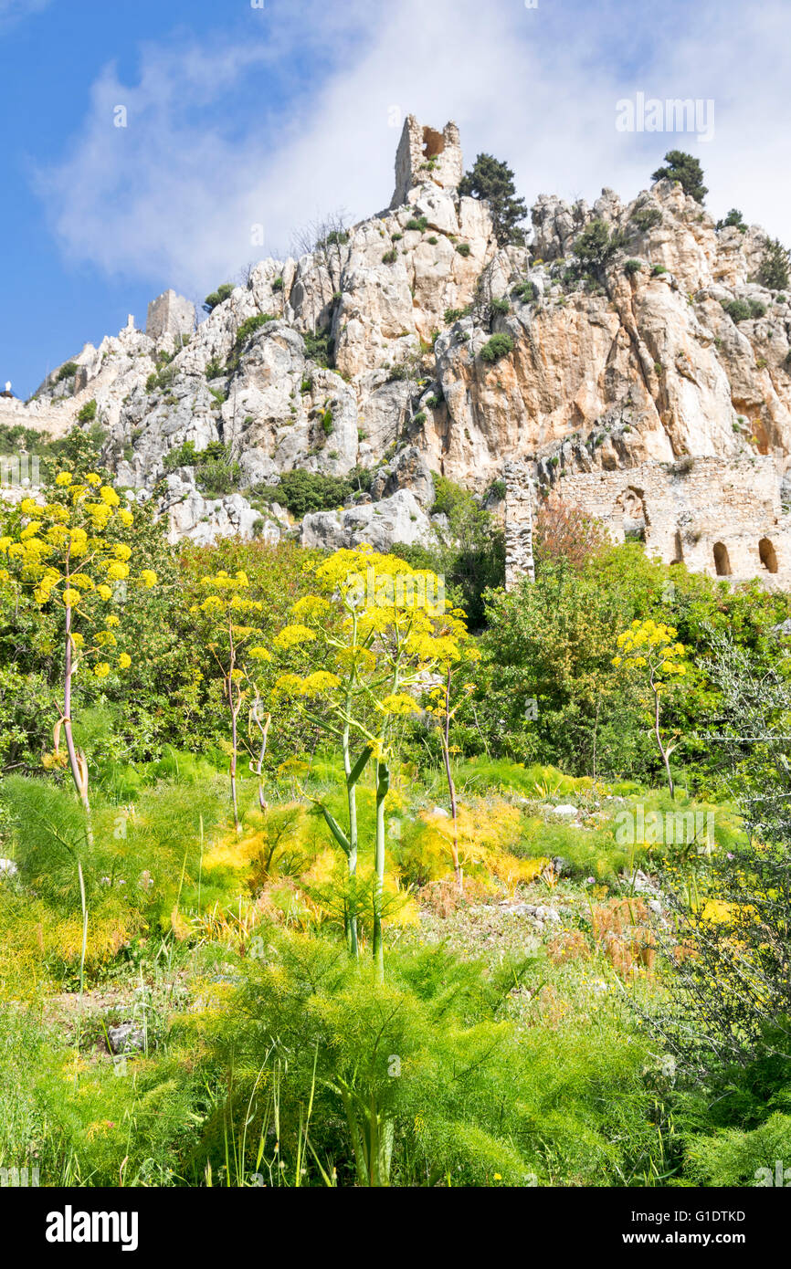 NORTH CYPRUS SAINT HILARION CASTLE THE YELLOW FLOWERS OF WILD FENNEL AT THE BASE OF THE MOUNTAIN Stock Photo