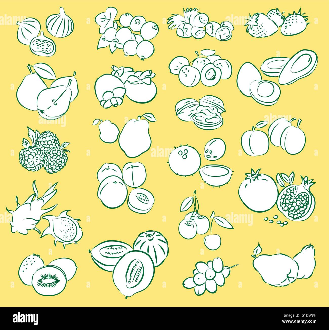 vector illustration of fruits collection in line art mode on yellow