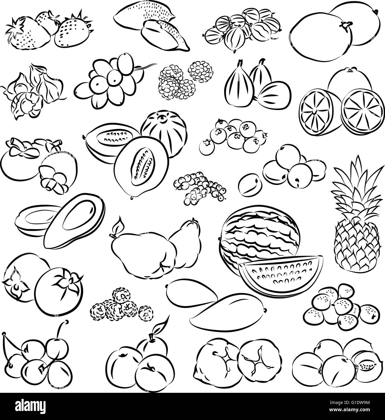 vector illustration of fruit collection in line art mode Stock Vector