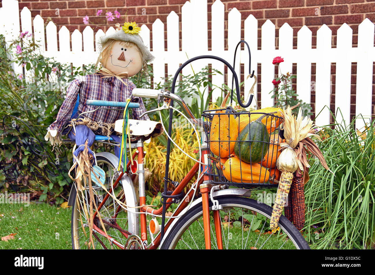 Cute autumn scarecrow on a bicycle with gourds and Indian corn in bike basket. Stock Photo