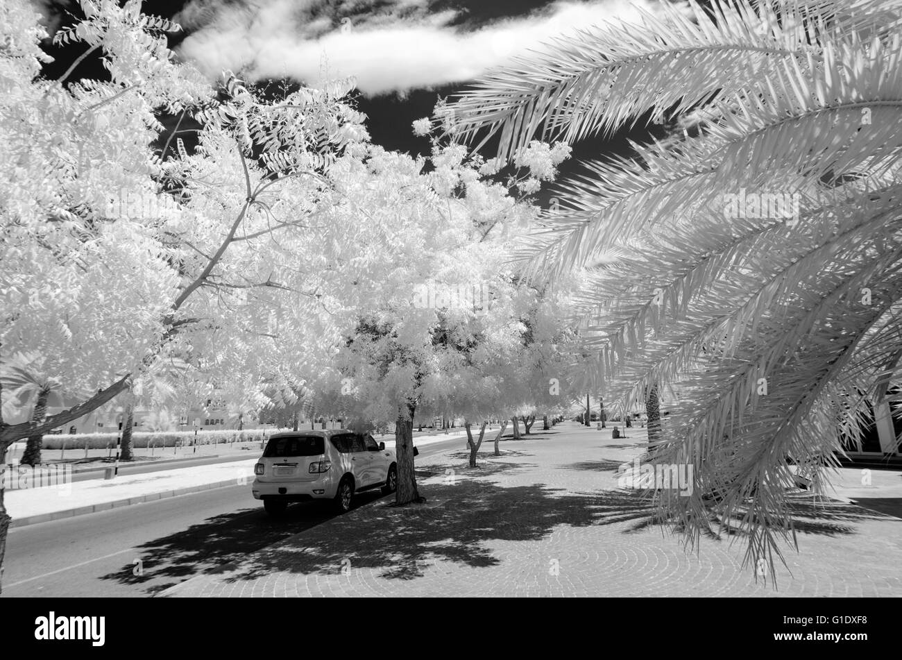 Infrared photograph in black and white of a car parkedon  an empty tree lined city street with a black sky and white clouds Stock Photo