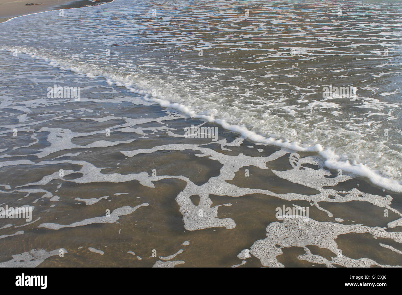 Surf Line On A Calm Day In Piha New Zealand Stock Photo