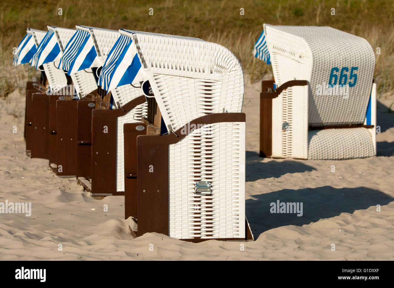 Strandkorb, Beach chairs on the sandy beach of Binz seaside resort on Rugen Island in Germany Stock Photo