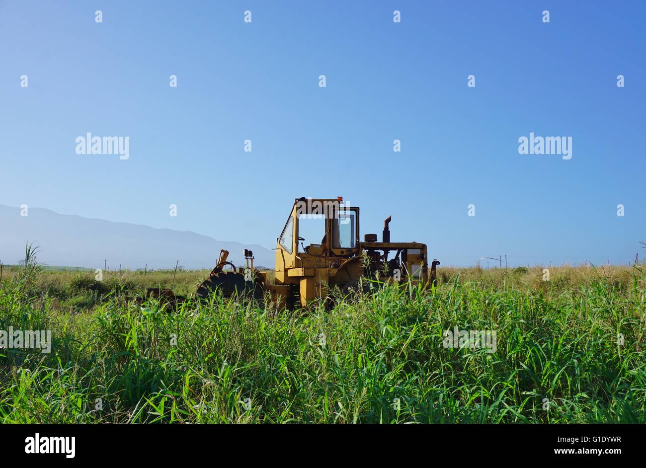 Sugar cane field hawaii hires stock photography and images Alamy