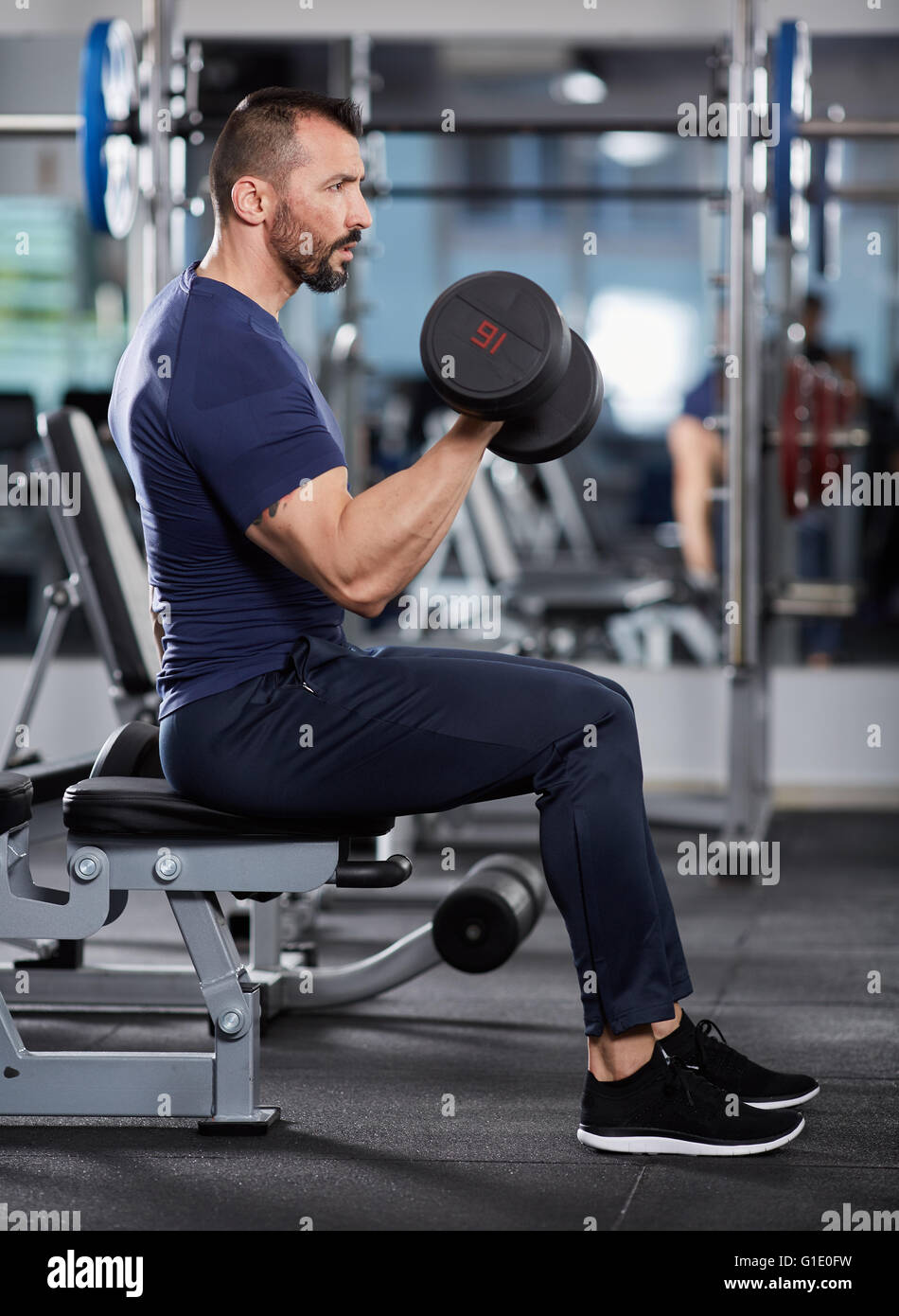 Athletic man doing biceps curl in seated position in the gym Stock ...