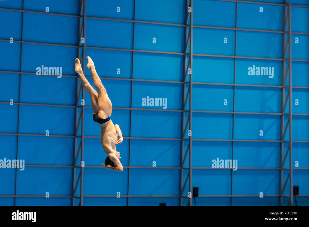 Aquatics Centre, Olympic Park, London, UK. 12th May 2016. Germany's Patrick Hausding, the most successful German diver in the Men's events with gold medals in 2010, 2011 and 2014, during his final round Forward 2 1/2 Somersaults 3 Twists Pike. Russia's Evgeny Cuznetsov takes gold, whilst British local hero Jack Laugher wins silver and Ukraine's Illya Kvasha wins the bronze medal in the Diving Men’s 3m Springboard Final Credit:  Imageplotter News and Sports/Alamy Live News Stock Photo