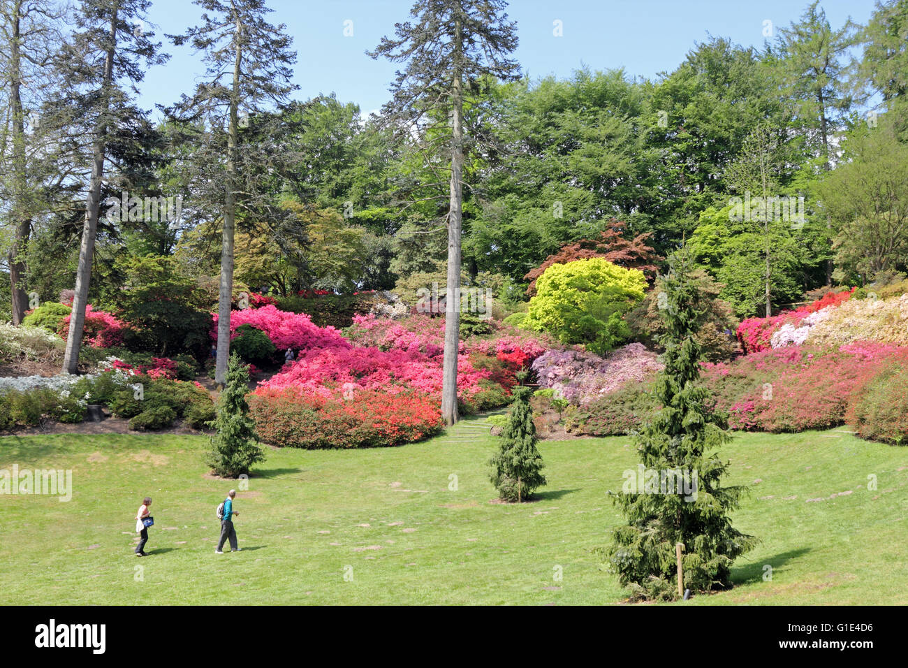 The Punch Bowl in the Valley Gardens at Virginia Water, Surrey, UK