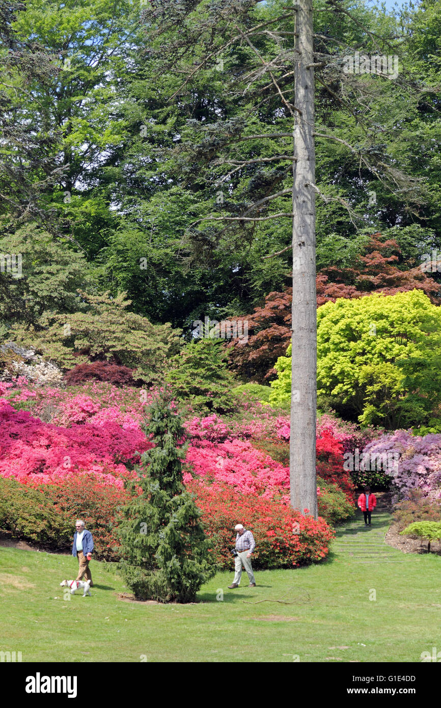 Punch bowl valley gardens hires stock photography and images Alamy