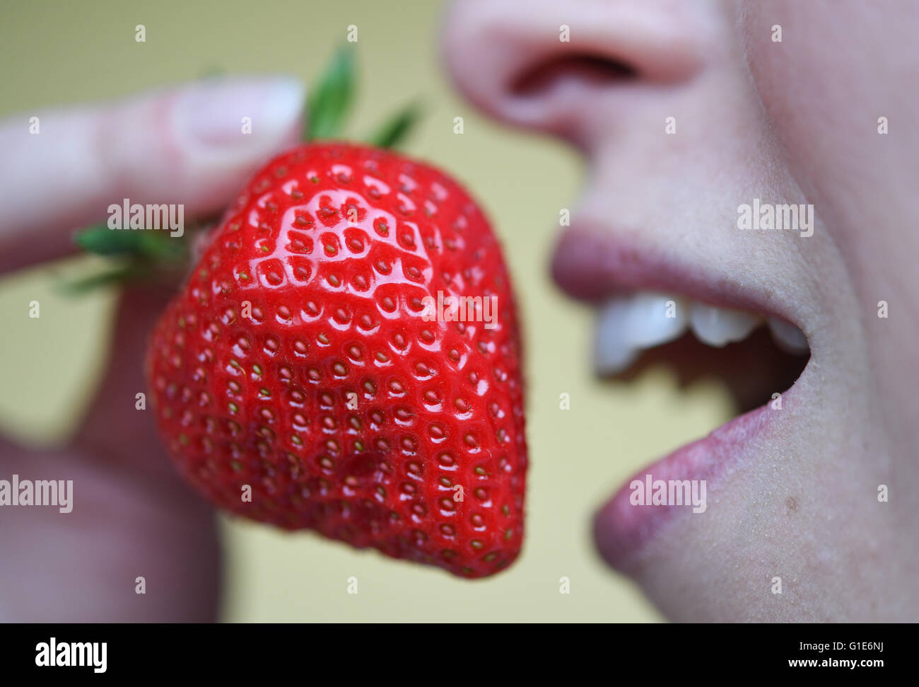 Strawberries at the Lindenhof Stroell farm during the official start of