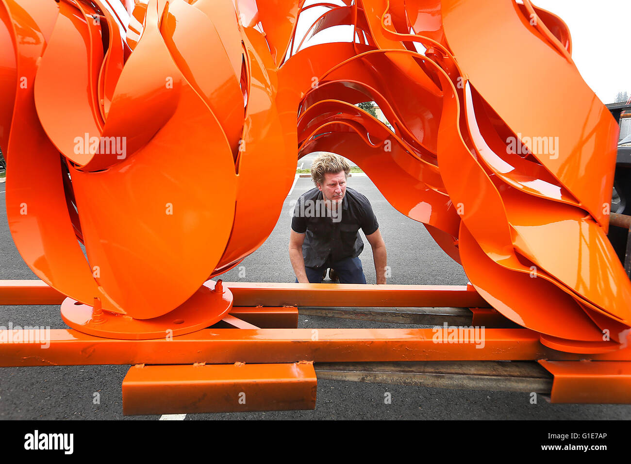 Napa, CA, USA. 11th May, 2016. Phoenix-based artist Pete Deise checks the balance of his sculpture as it is moved on a forklift at the South Napa Century Center on Wednesday morning. The sculpture weighs about 3,500 pounds is 14 feet long by 6 feet high and 28 inches wide. © Napa Valley Register/ZUMA Wire/Alamy Live News Stock Photo