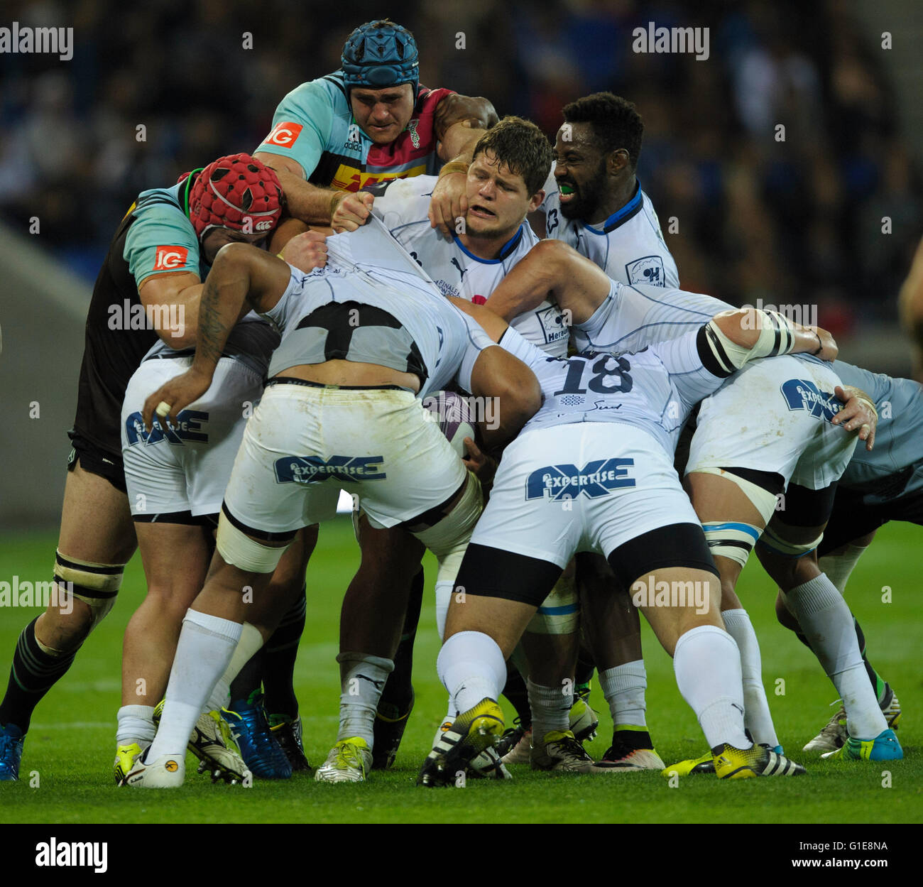 Sale sharks v montpellier herault rugby hi-res stock photography and images  - Alamy