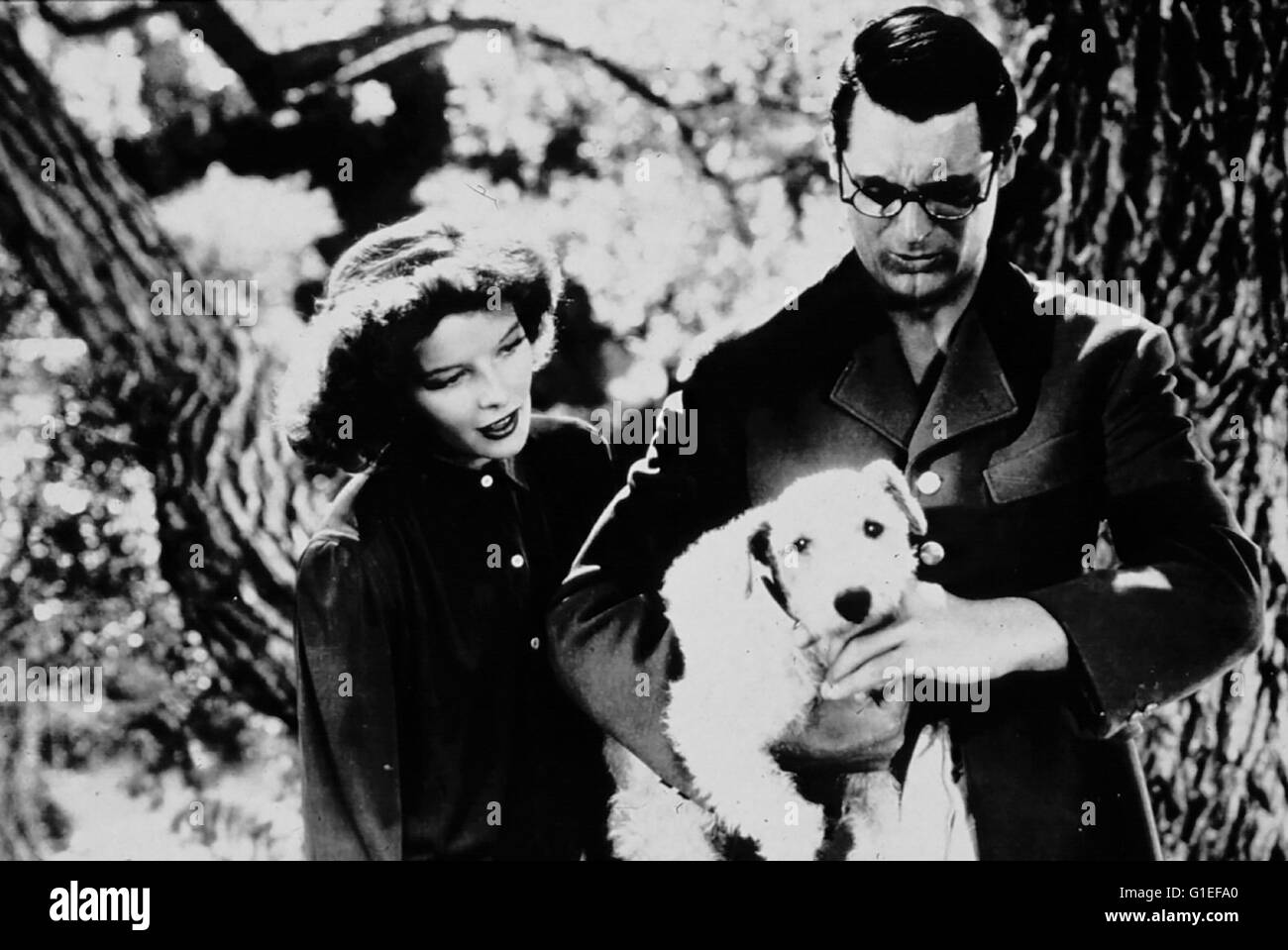 Leoparden küßt man nicht / Katharine Hepburn / Cary Grant / Bringing Up Baby, Stock Photo