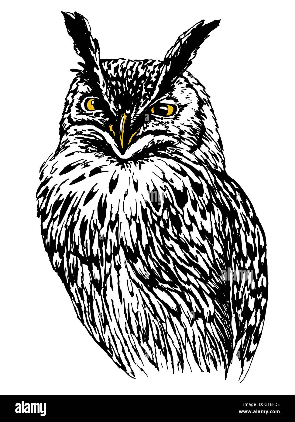 Owl hand drawn, black and white isolated vector illustration Stock ...