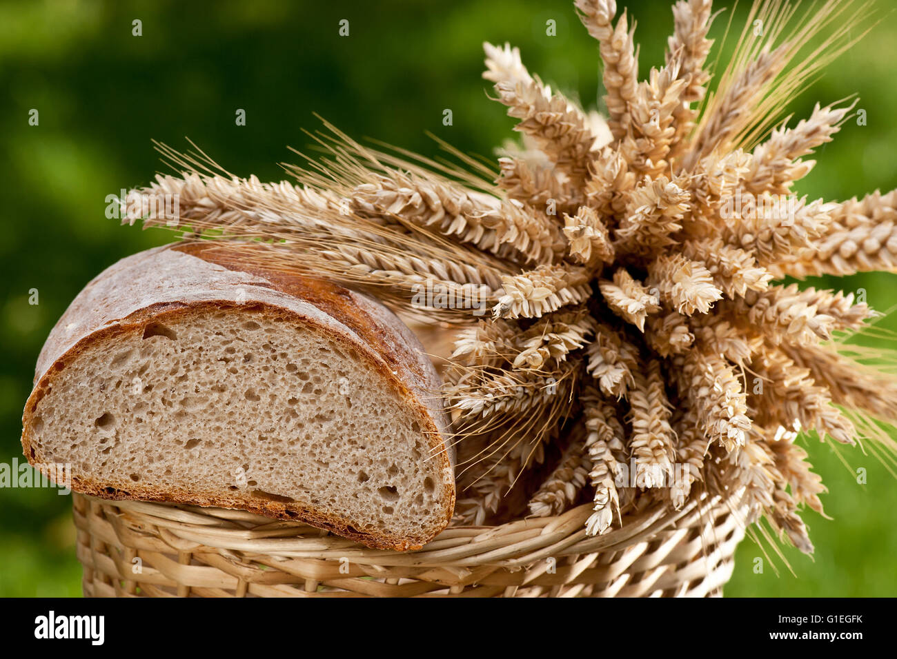 Хлеб сноп. Хлебный сноп. Хлеб и сноп пшеницы. Корзина с колосьями. Ячменный хлеб.