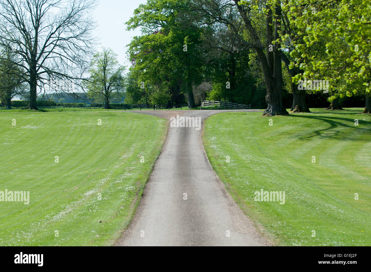 An empty single track country lane hi-res stock photography and images ...