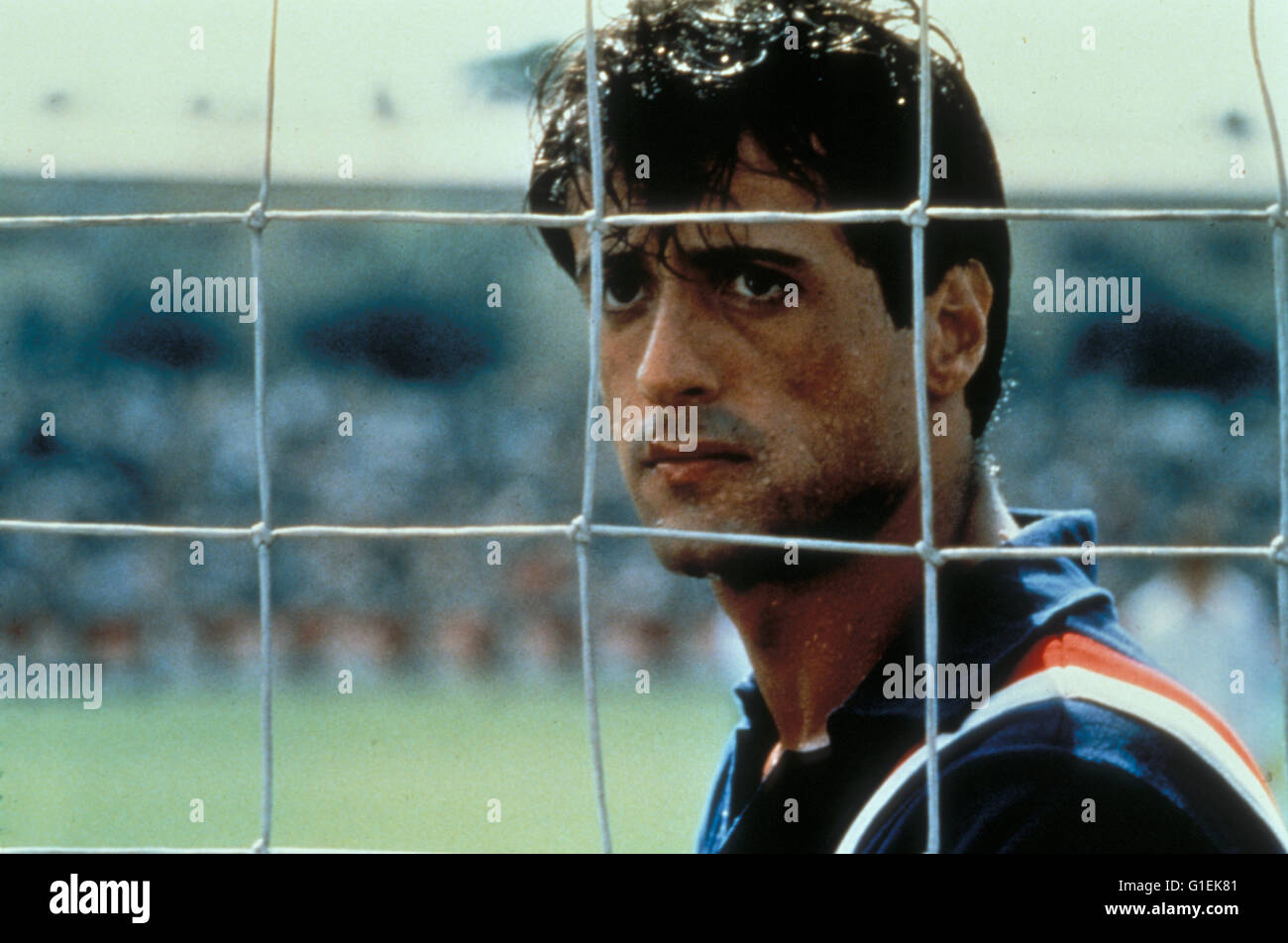 Flucht oder Sieg / Sylvester Stallone, Stock Photo