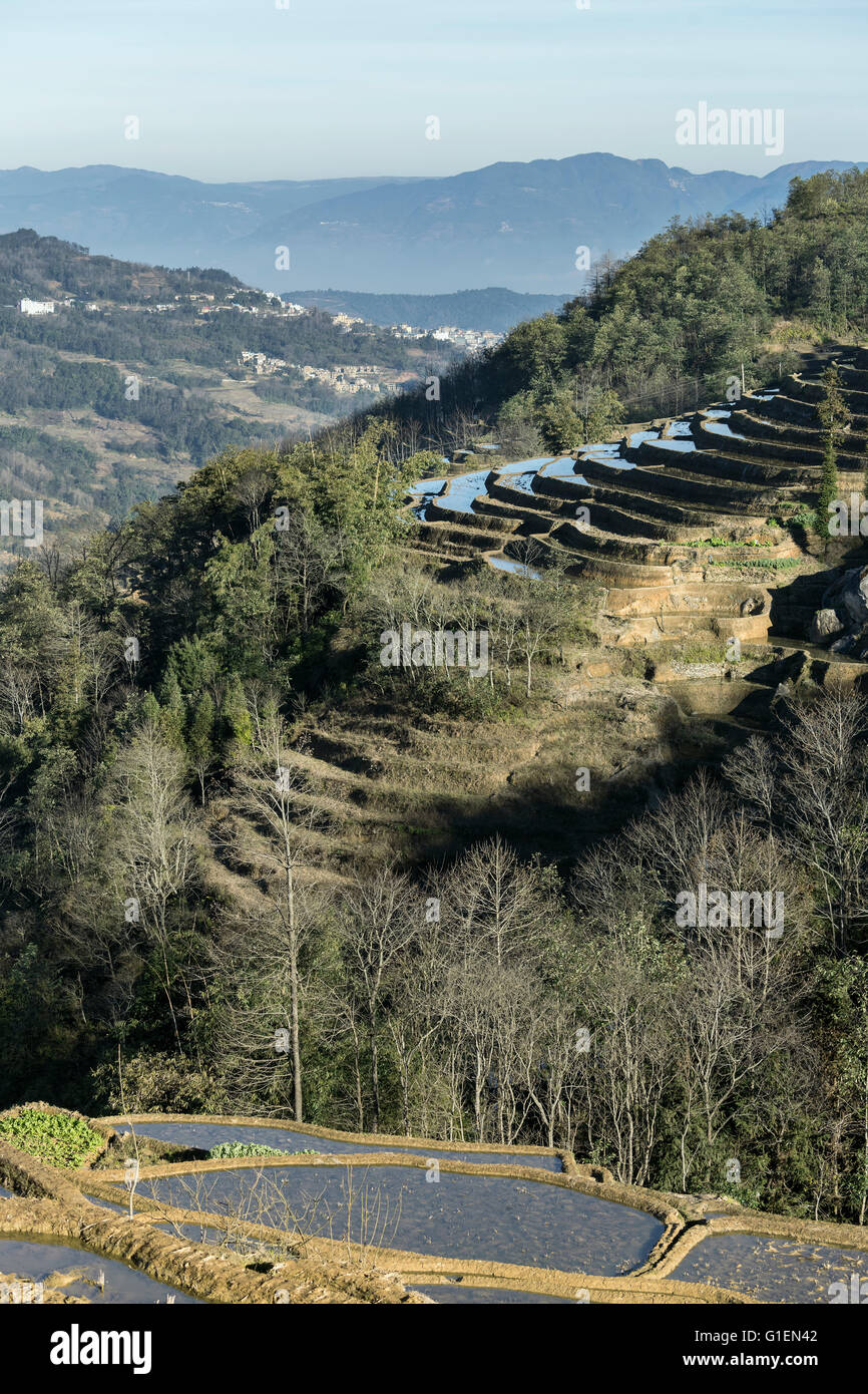 Environmental engineering with rice terraces mountains and forests