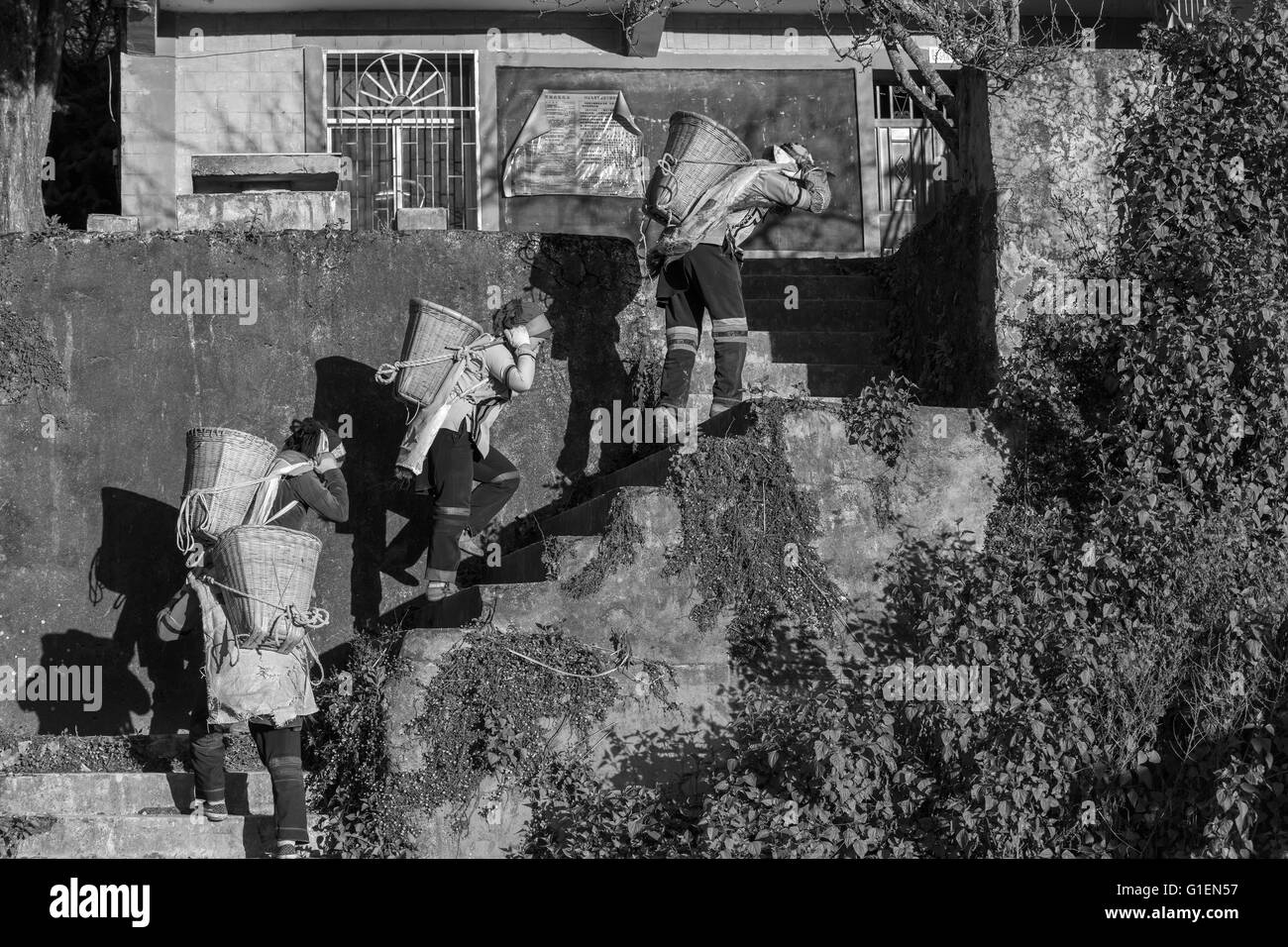 Line of women construction workers carrying gravel up the stairs B/W, Malizai area, Yuanyang County, Yunnan Province, China Stock Photo