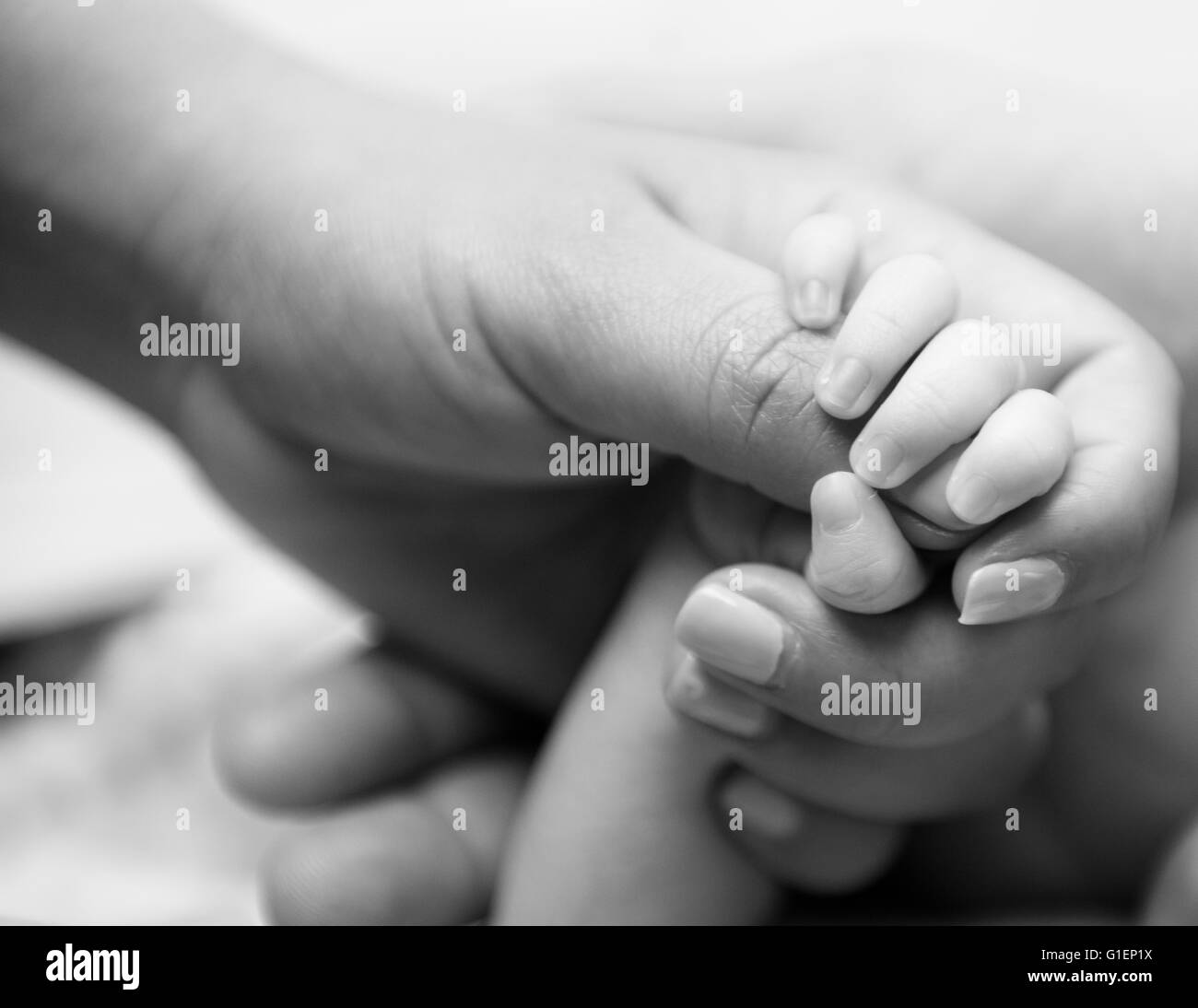 Mother, Father and Baby's Hands Stock Photo - Alamy